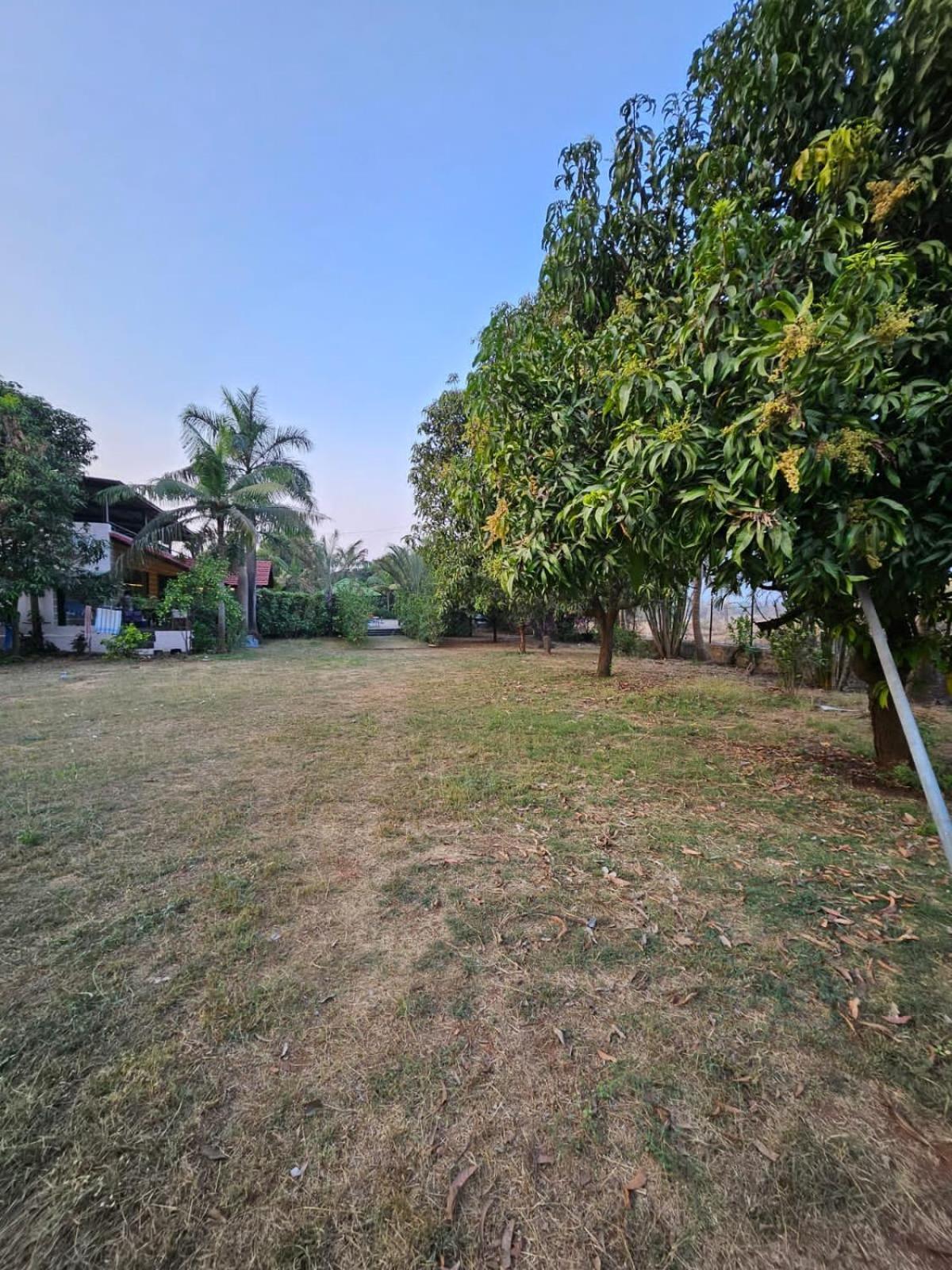 Patil'S Greenwoods Farmhouse 纳威孟买 外观 照片